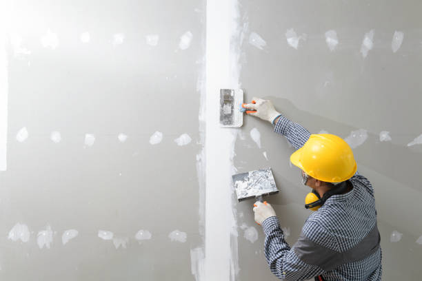 Best Industrial Mold Remediation  in Brookville, OH