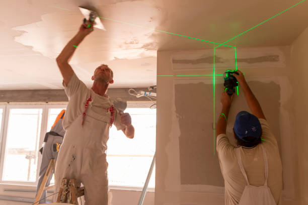 Best Black Mold Removal  in Brookville, OH