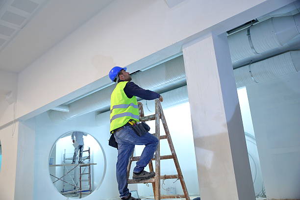 Best Forensic Mold Investigation  in Brookville, OH