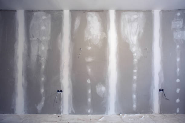 Best Asbestos and Lead Testing During Mold Inspection  in Brookville, OH